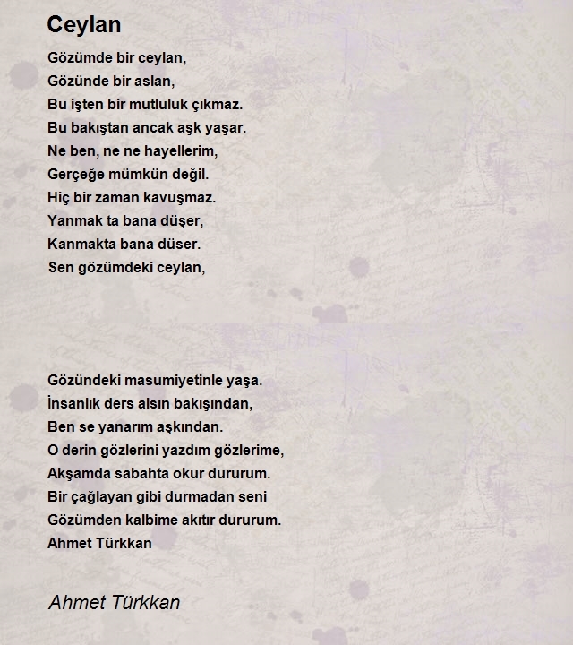 Ahmet Türkkan