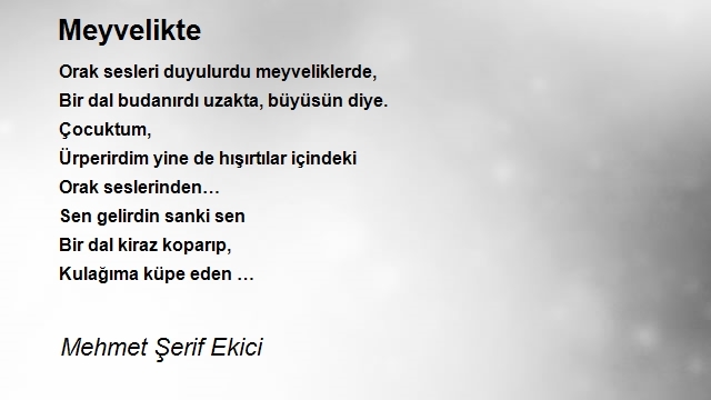 Mehmet Şerif Ekici