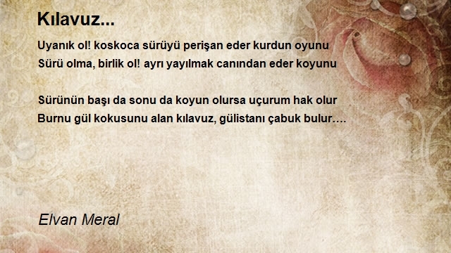 Elvan Meral