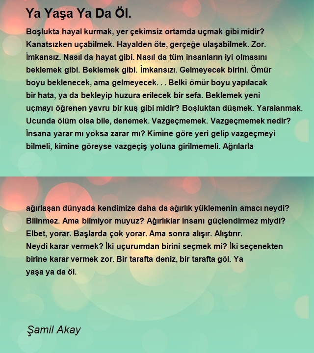 Şamil Akay