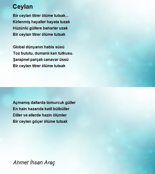 Ahmet Ihsan Arac