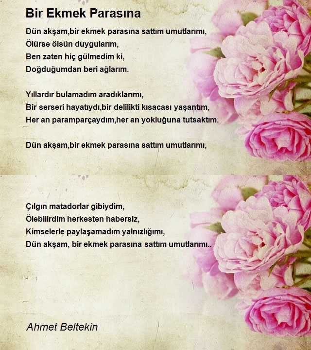 Ahmet Beltekin