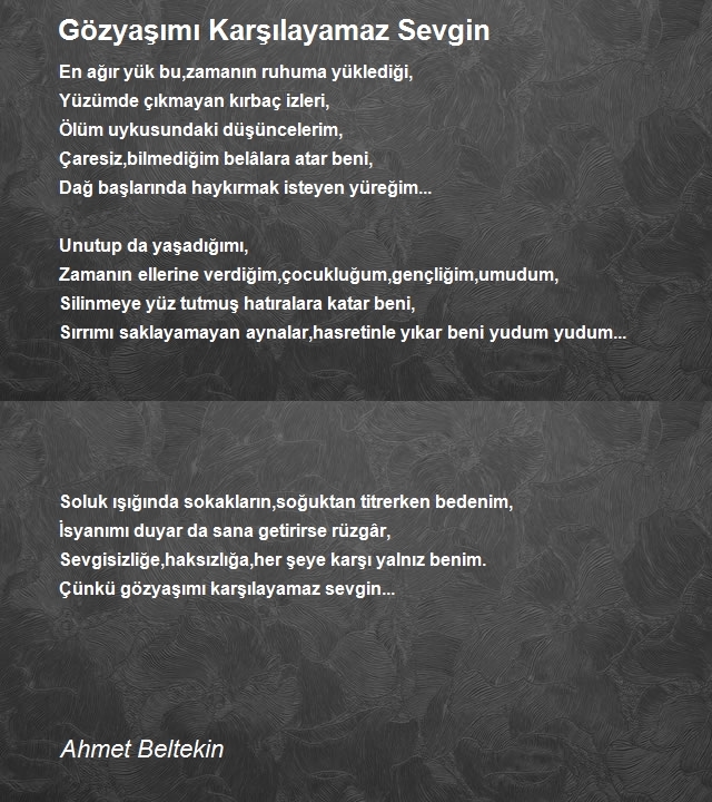 Ahmet Beltekin