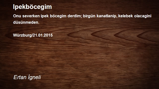 Ertan İgneli