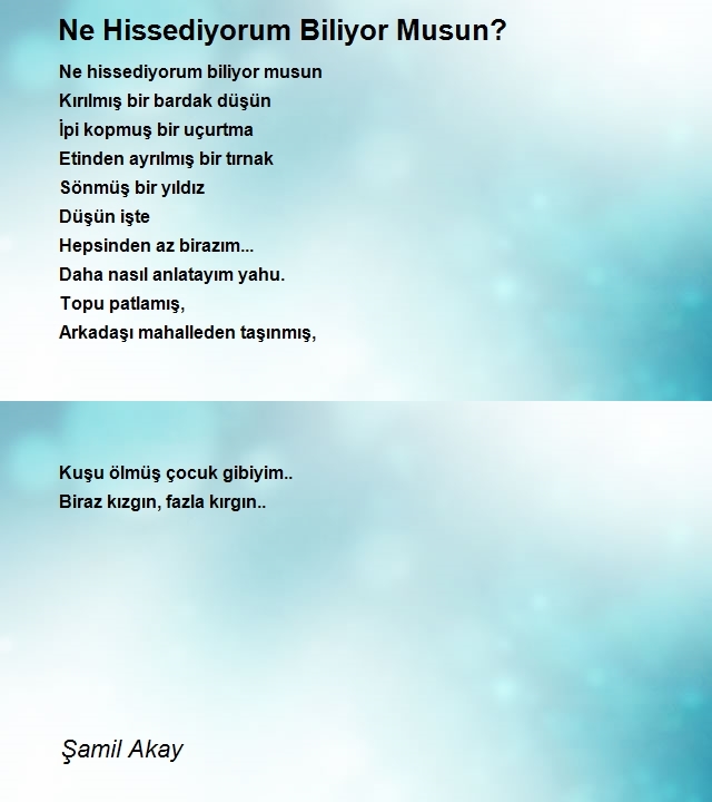 Şamil Akay