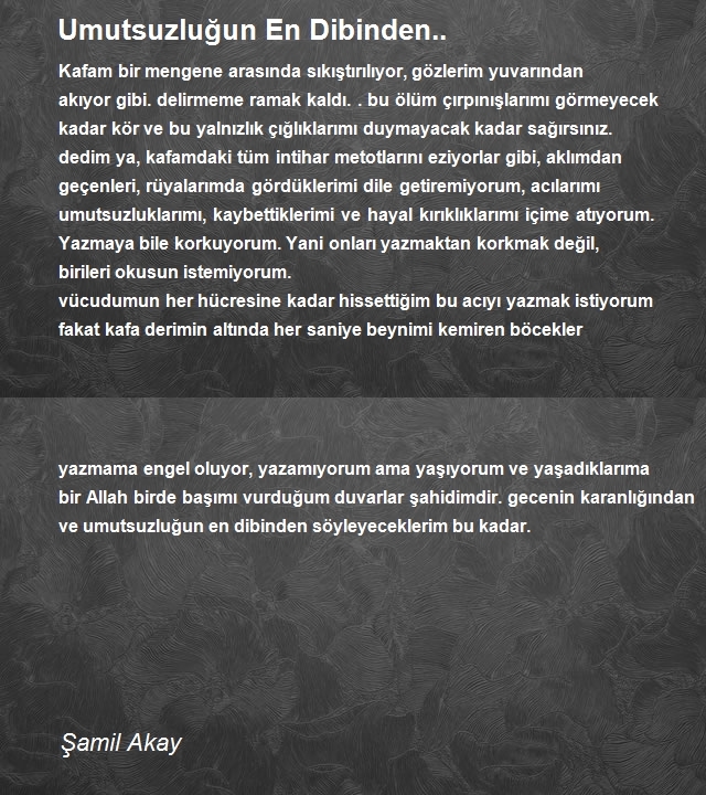 Şamil Akay