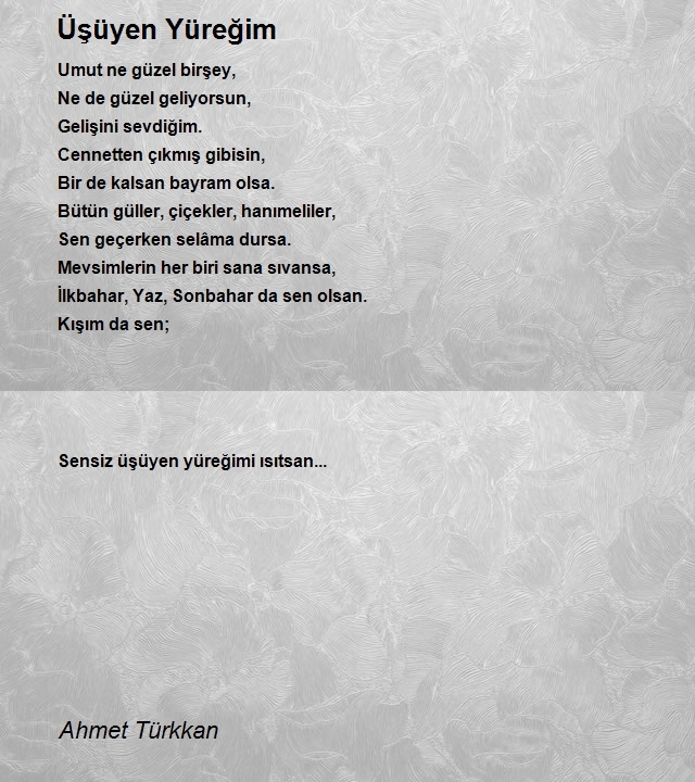 Ahmet Türkkan