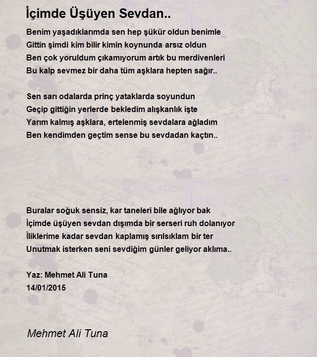 Mehmet Ali Tuna