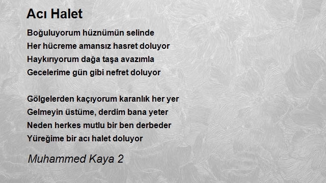 Muhammed Kaya 2