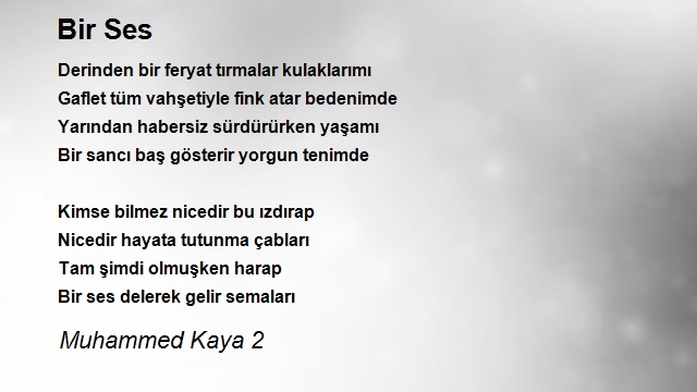 Muhammed Kaya 2