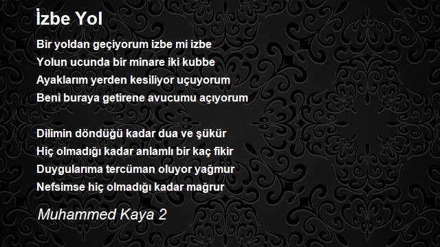 Muhammed Kaya 2