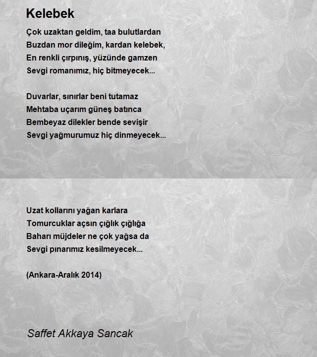 Saffet Akkaya Sancak