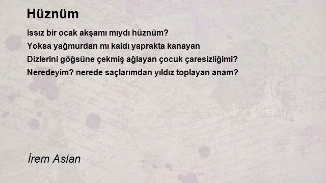 İrem Aslan