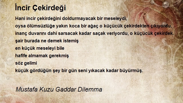 Mustafa Kuzu Gaddar Dilemma