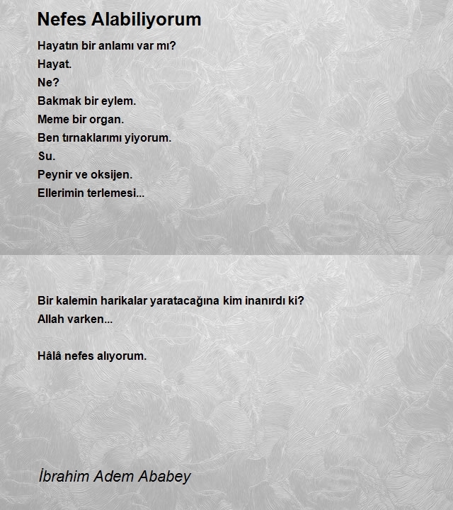 İbrahim Adem Ababey