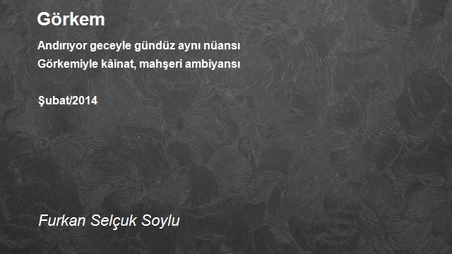 Furkan Selçuk Soylu