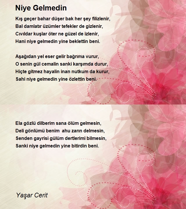 Yaşar Cerit