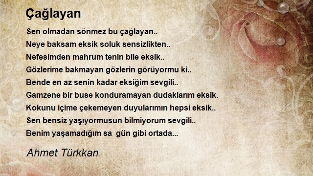 Ahmet Türkkan