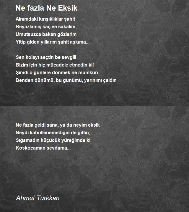 Ahmet Türkkan