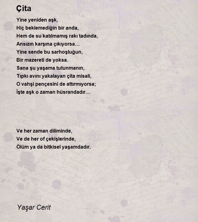 Yaşar Cerit