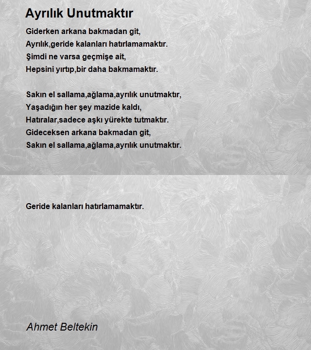 Ahmet Beltekin