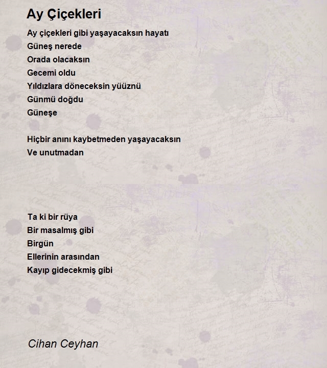 Cihan Ceyhan