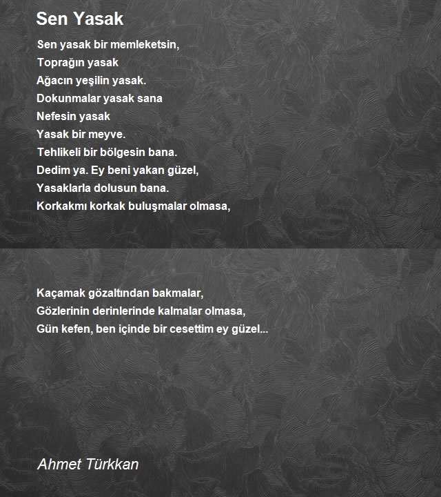 Ahmet Türkkan