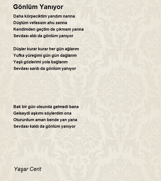 Yaşar Cerit