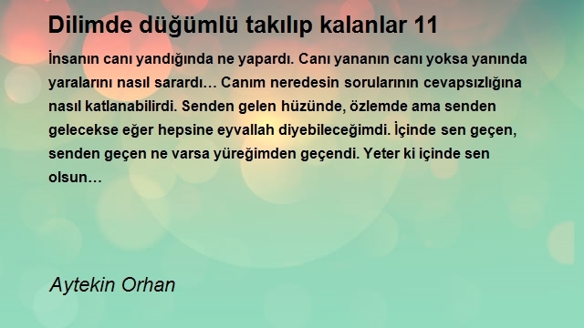 Aytekin Orhan