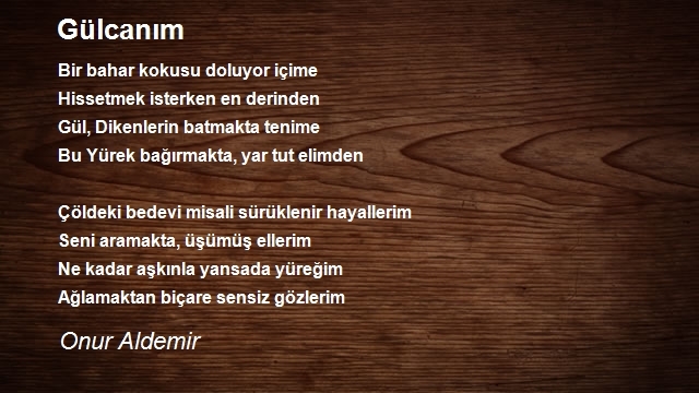 Onur Aldemir