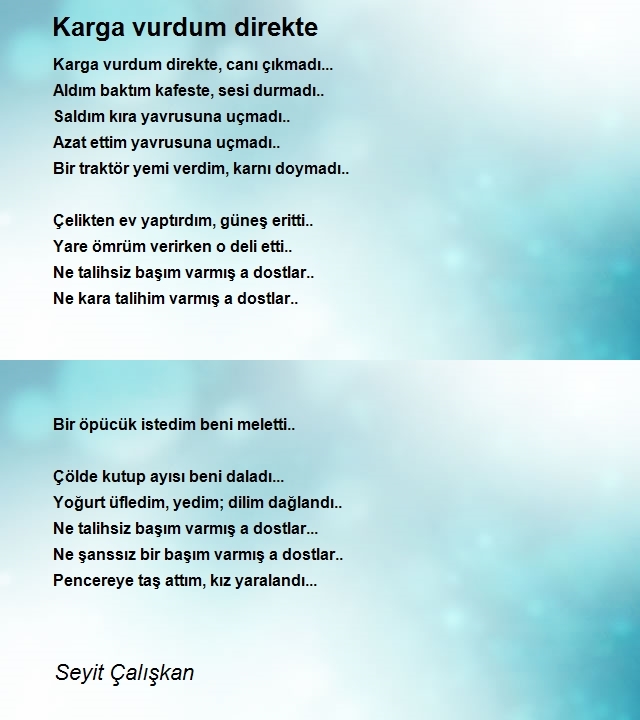 Seyit Çalışkan