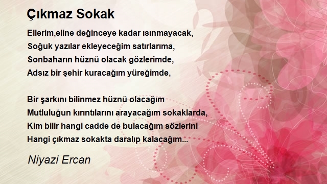 Niyazi Ercan