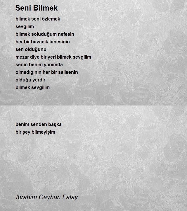 İbrahim Ceyhun Falay