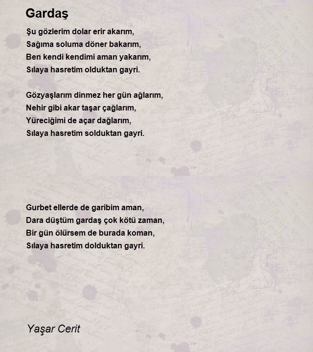 Yaşar Cerit