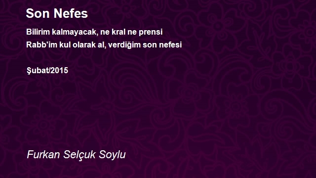 Furkan Selçuk Soylu