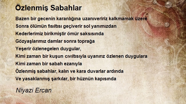 Niyazi Ercan