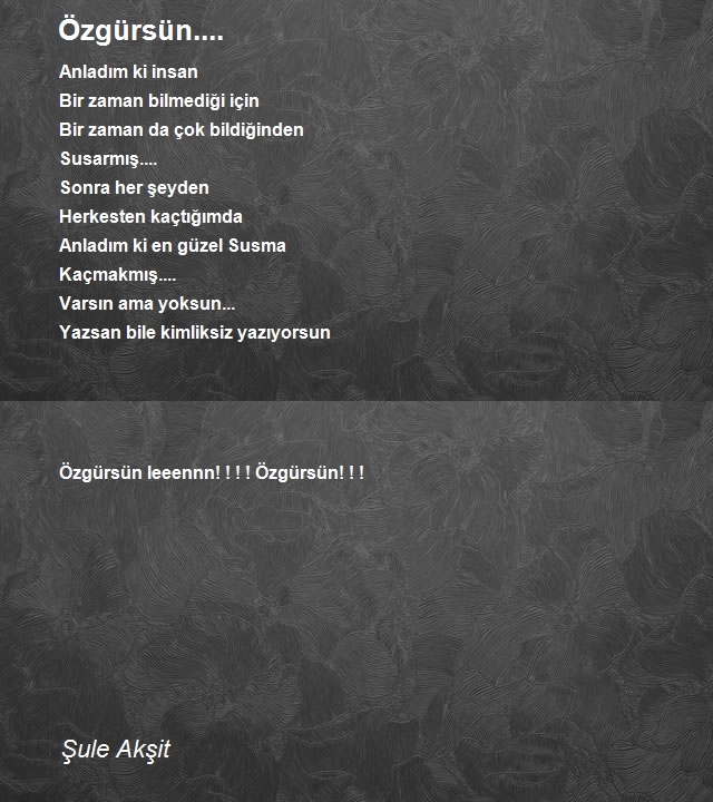 Şule Akşit