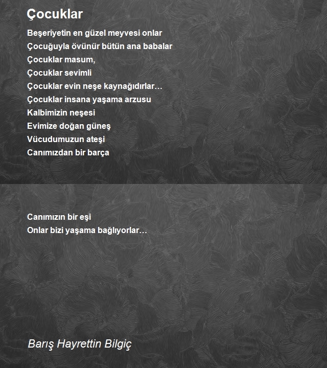 Barış Hayrettin Bilgiç