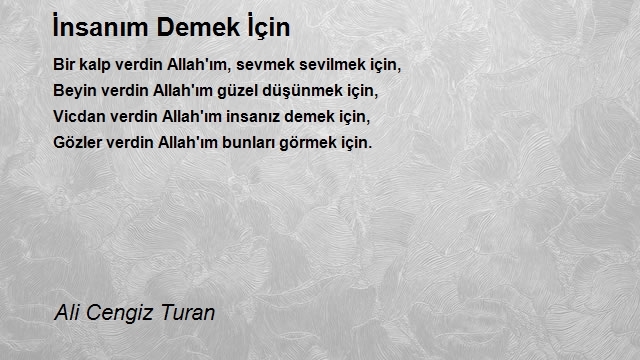 Ali Cengiz Turan