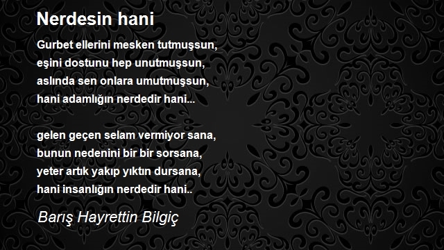 Barış Hayrettin Bilgiç