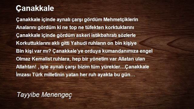 Tayyibe Menengeç