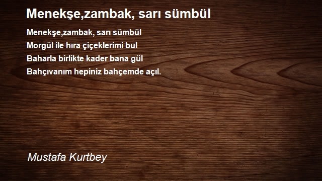 Mustafa Kurtbey