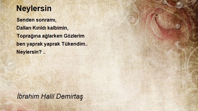 İbrahim Halil Demirtaş