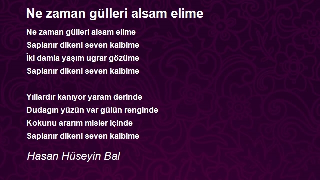 Hasan Hüseyin Bal