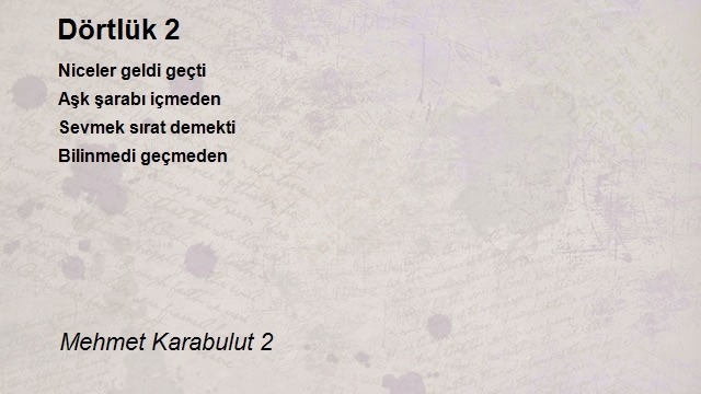 Mehmet Karabulut 2