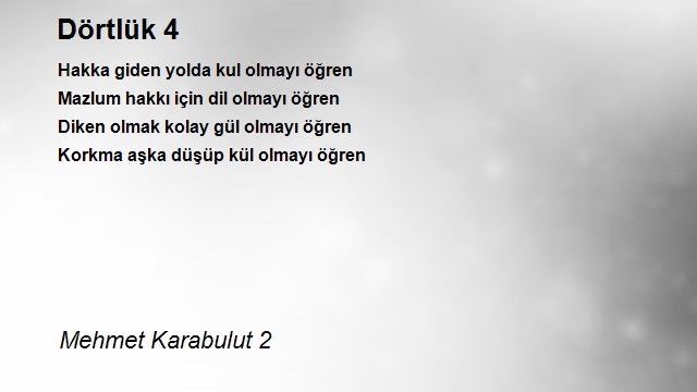 Mehmet Karabulut 2