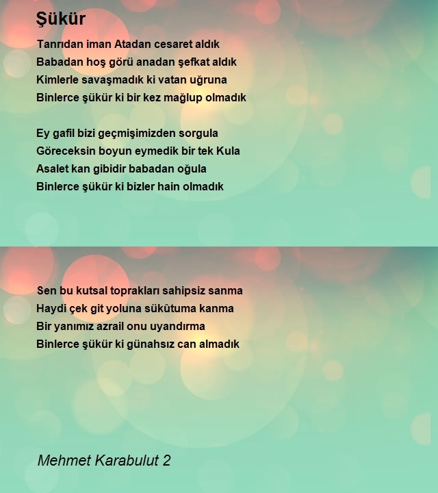 Mehmet Karabulut 2