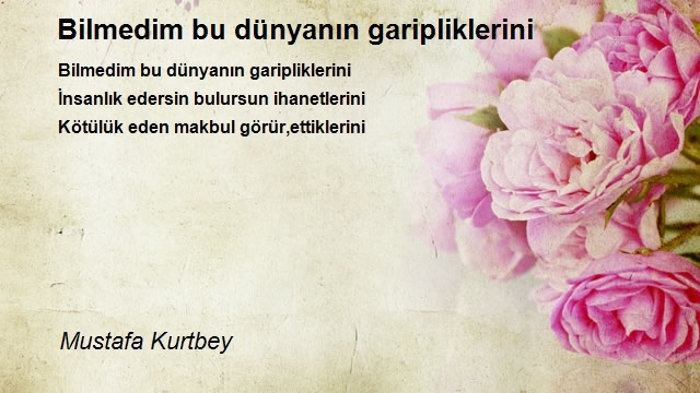 Mustafa Kurtbey