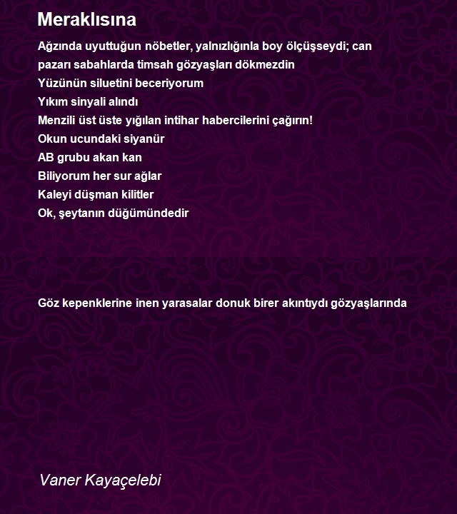 Vaner Kayaçelebi