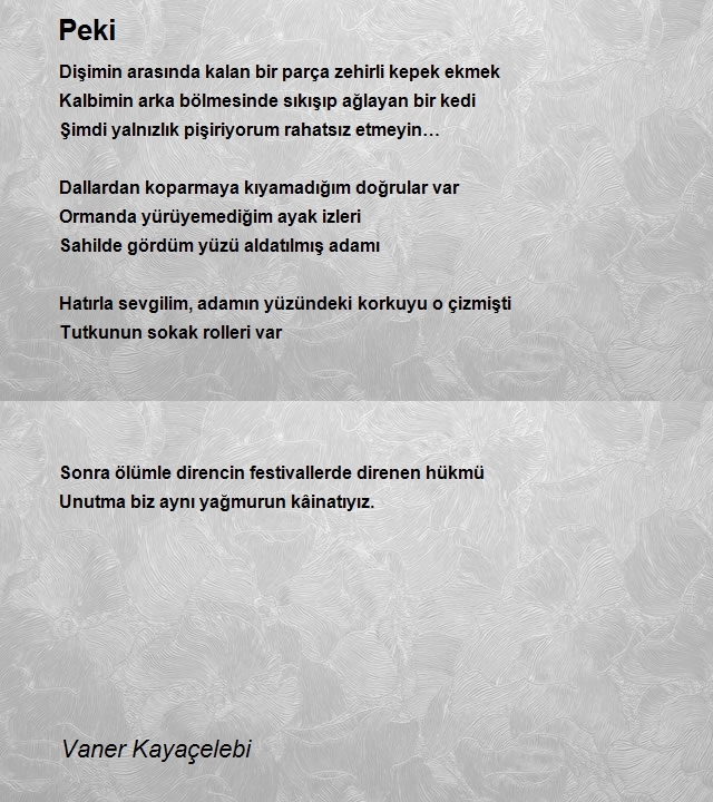 Vaner Kayaçelebi